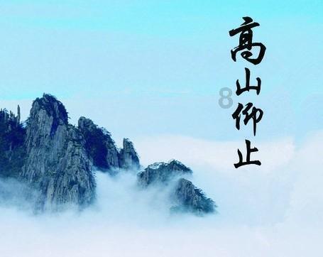 袋鼠兄弟2